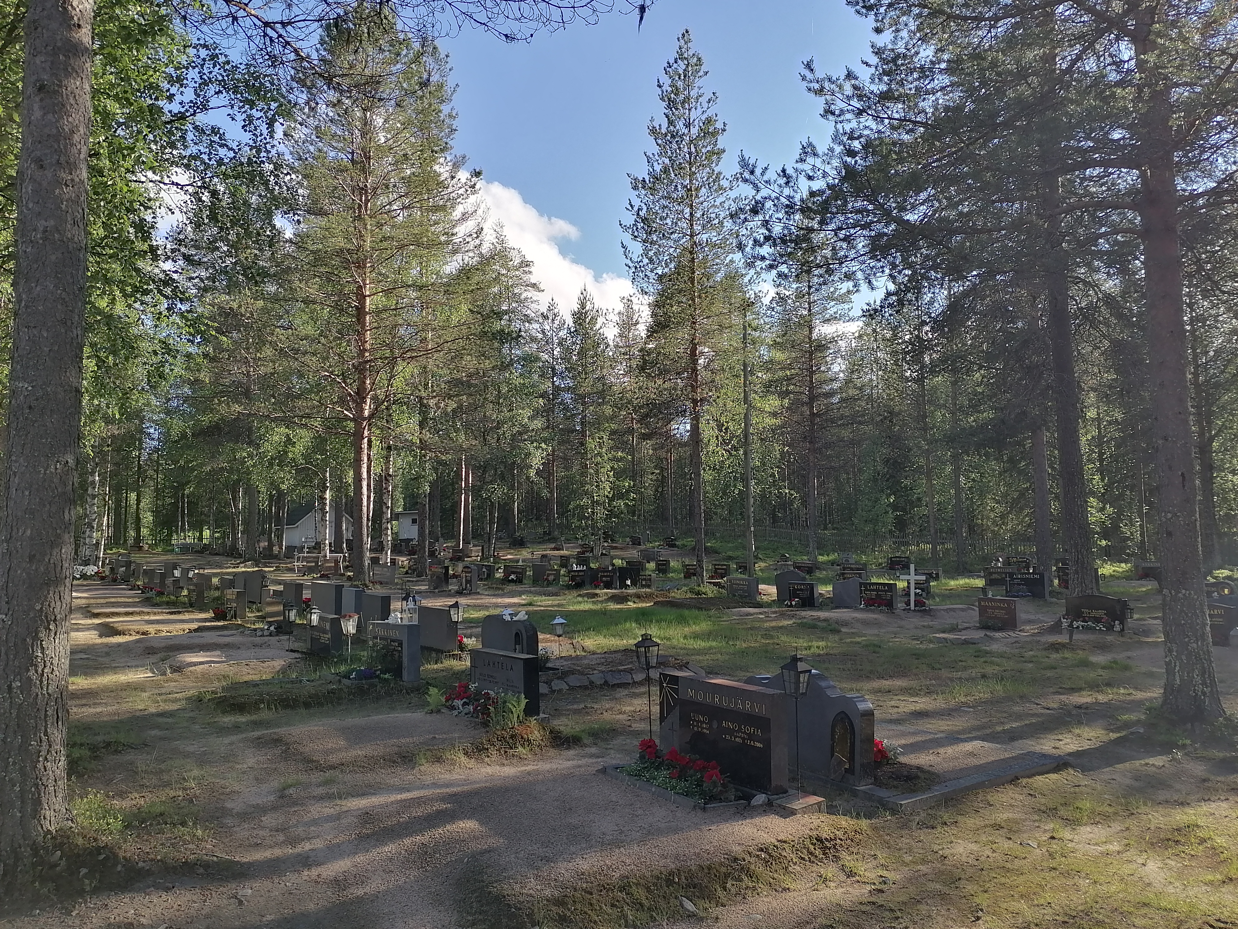 Maaninkavaaran hautausmaa, rivissä hautamuistomerkejä ja taustalla mäntypuita